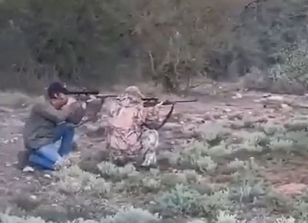Hai người đàn ông ngắm bắn con trâu rừng.