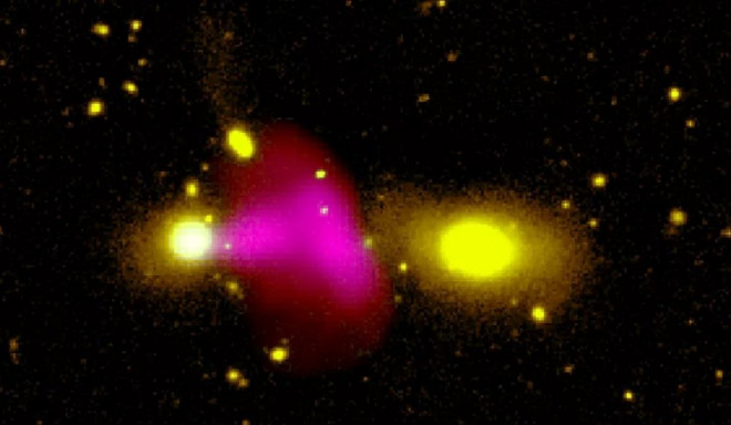 Bức ảnh được tô màu cho thấy chùm tia plasma (màu hồng) từ thiên hà này bắn sang thiên hà khác - Ảnh: Ananda Hota/GMRT/CFHT/MeerKAT