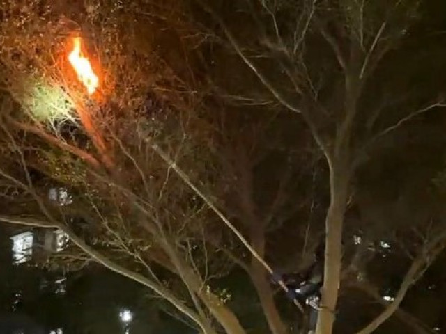 Tin tức trong ngày - Cảnh sát PCCC dùng lửa bắt tổ ong ở chung cư Ehome 3