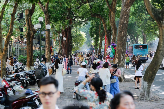 Mùa thu nắng vàng đẹp nao lòng, giới trẻ rộn ràng chụp ảnh trên con đường Hà Nội lãng mạn - 10