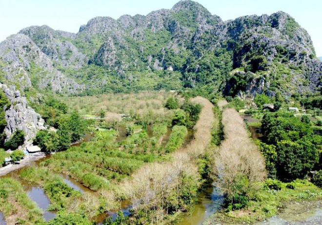 Vào thời điểm cuối Thu sang Đông, khi tiết trời bắt đầu chuyển lạnh, những rặng cây thủy bặn (tên người dân địa phương thường gọi) bắt đầu trút lá