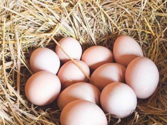 5 bài thuốc từ trứng gà hỗ trợ trị tăng huyết áp