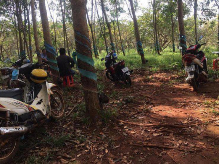 Pháp luật - Bình Phước: Phát hiện kinh hoàng trong rẫy cà phê