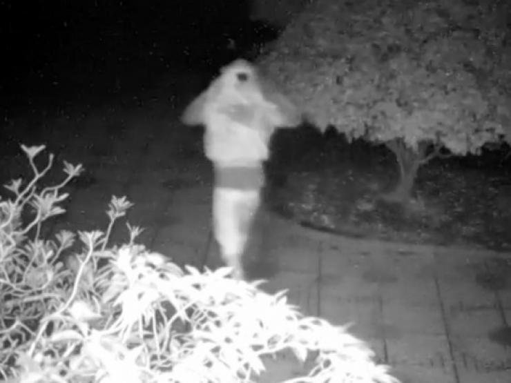 Pháp luật - Tiếng thét lúc nửa đêm giữa đại ngàn: Cái chết bí ẩn của người buôn bò xấu số