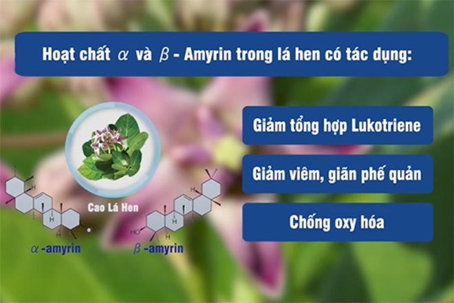 Tác hại tiềm ẩn của khò khè, hen suyễn, làm bạn mất ngủ hàng đêm & cách phòng ngừa - 3
