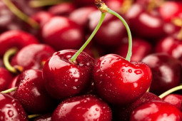 Thị trường - Tiêu dùng - Những mặt hàng có chứa độc tố chết người nhưng vẫn được người tiêu dùng chi tiền mua