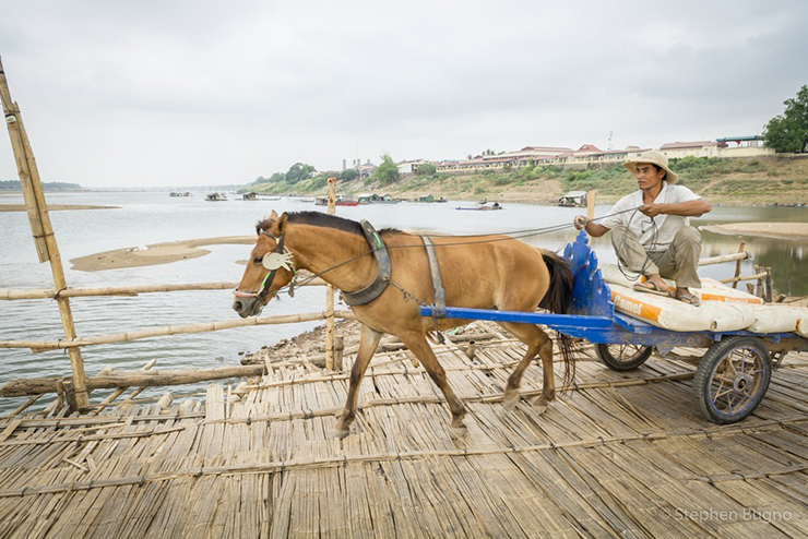 9. Mỗi năm có hàng nghìn người tới Kampong Cham chỉ để được trải nghiệm đi trên cây cầu độc đáo này.


