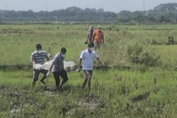 Pháp luật - Phát hiện thi thể không quần áo giữa cánh đồng ở TP Bà Rịa