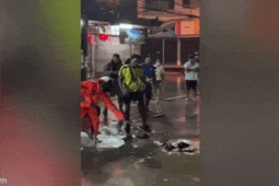 Media - Clip: Kinh hoàng cảnh rắn hổ mang khổng lồ bị lũ cuốn trôi trên đường