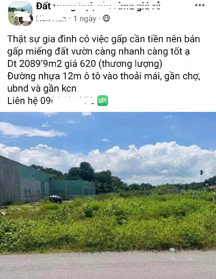 "Cần tiền bán nhanh sản phẩm đất nền vị trí đẹp, cần bán gấp"... nhiều chủ đất miệt mài đăng tin trên các nhóm mua bán BĐS