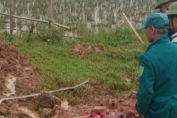 Tin tức trong ngày - Đi phụ hồ, nam thanh niên khuyết tật bị điện giật tử vong