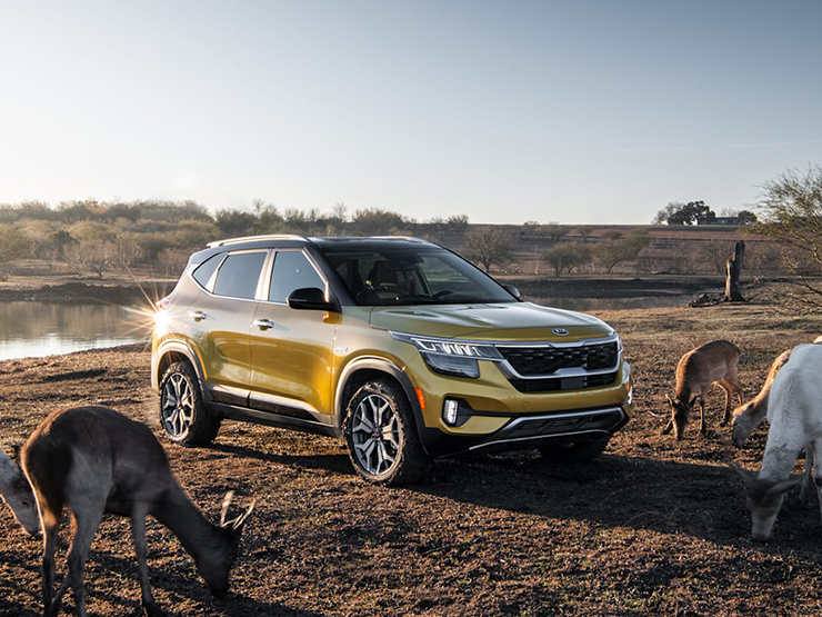 Tin tức ô tô - Giá xe KIA Seltos niêm yết và lăn bánh tháng 10/2022