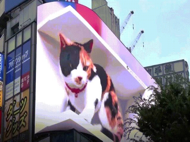 Mèo 3D khổng lồ cử động như thật gây 'sốt' tại ga Tokyo