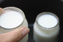 Sức khỏe đời sống - Nhiều người ăn sữa chua có hành động này, chuyên gia khuyến cáo tuyệt đối không nên vì mất hết dinh dưỡng