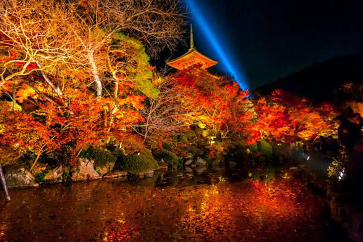 6. Chùa Kiyomizu vào thời điểm nào trong năm cũng đều đẹp, nhưng đẹp nhất có lẽ là vào mùa thu. Có lẽ vì thế, số lượng người tới thăm chùa vào mùa thu rất đông, mọi người phải chen chúc và chờ đợi để được vào khu vực này.

