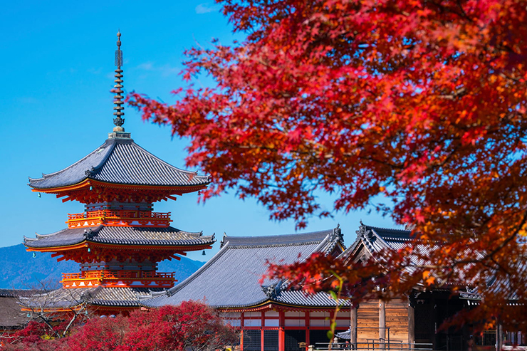 9. Bắt đầu vào khoảng giữa tháng 11, cây cối trong khuôn viên của chùa Kiyomizu bắt đầu chuyển sang màu đỏ.&nbsp;Khoảng 1.000 cây phong trên núi được nhuộm đỏ. Vì thế, thời điểm tốt nhất để ngắm lá đỏ tại đây là từ cuối tháng 11 đến đầu tháng 12.
