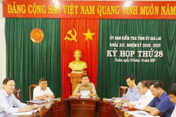 Tin tức trong ngày - Gia Lai: 1 hiệu trưởng có nhiều sai phạm đến mức kỷ luật