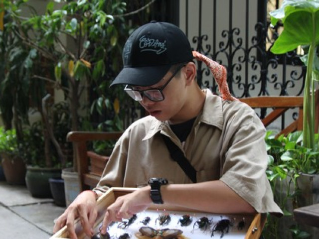 Bạn trẻ - Cuộc sống - Độc lạ thú chơi sưu tầm bọ cánh cứng "cực hiếm" của chàng trai GenZ