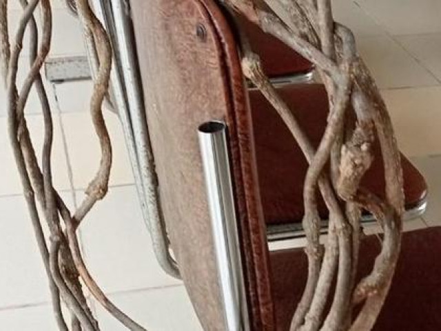 Tin tức trong ngày - 7 người nguy kịch vì uống nước có chất độc: Đã xác định nguyên nhân