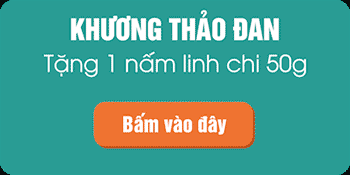 Bạn bị đau nhức xương khớp tái đi tái lại? Viên xương khớp Khương Thảo Đan tặng bạn ưu đãi “mua 1 được 2 duy nhất hôm nay” - 4