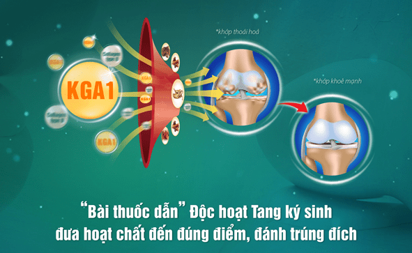 Bạn bị đau nhức xương khớp tái đi tái lại? Viên xương khớp Khương Thảo Đan tặng bạn ưu đãi “mua 1 được 2 duy nhất hôm nay” - 5