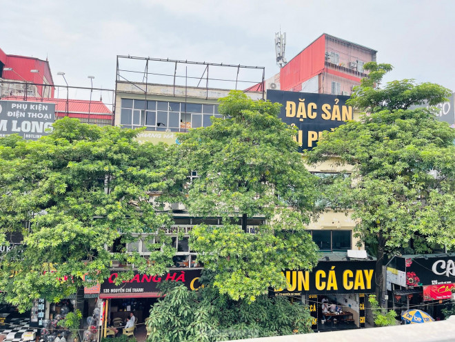 Vào buổi tối, hương hoa sữa toả ra ngào ngạt, do đó việc sinh hoạt, ăn ở của các hộ dân bên cạnh cây hoa sữa gặp khá nhiều bất tiện.
