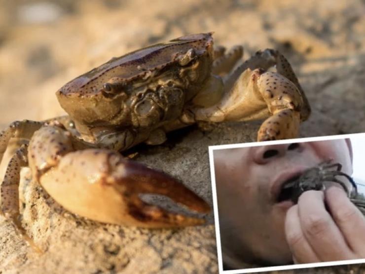 Phi thường - kỳ quặc - Người đàn ông ăn cua sống "trả thù" cho con gái, hai tháng sau phải trả giá