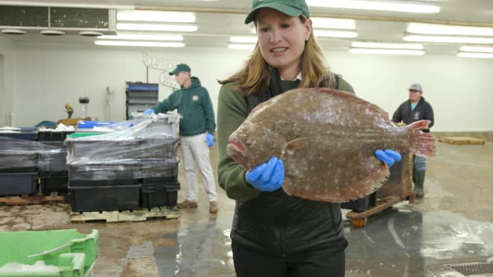 Chỉ bán cá, người phụ nữ này làm ra tiền tỷ mỗi năm với bí quyết bất ngờ - 1