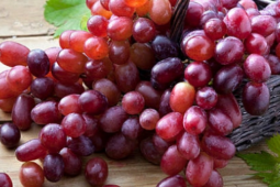 Ẩm thực - 4 thực phẩm "đại kỵ" với nho, tuyệt đối không ăn cùng nhau để tránh gây hại sức khỏe