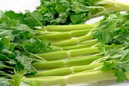 Sức khỏe đời sống - Mặc dù cần tây có nhiều lợi ích về sức khỏe nhưng vẫn có 3 điều cần lưu ý