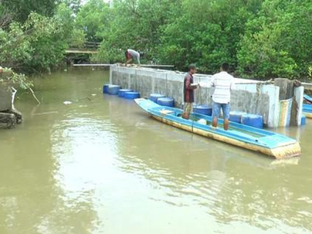 Thị trường - Tiêu dùng - CLIP: Vợ chồng ở Cà Mau thu về hàng trăm triệu đồng từ nghề đặc biệt