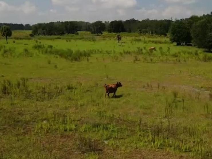 Kinh doanh - Tổ tiên mua mảnh đất rẻ như cho, nay tăng giá hàng trăm lần, con cháu "hốt bạc"