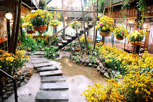 Ảnh: Rừng cúc mai cam - Góc check in được hội chị em yêu thích tại Cầu Giấy