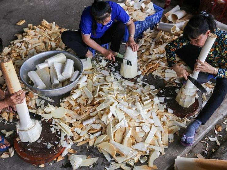 Thị trường - Tiêu dùng - Phần bỏ đi của cây dừa không ngờ là đặc sản hiếm giá 150.000 đồng/kg, "mỏ vàng" bán thu tiền triệu