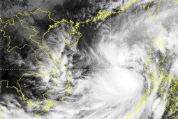 Tin tức trong ngày - Tin mới nhất về bão số 7