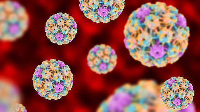 Hình ảnh virus HPV.