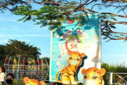 Tin tức trong ngày - Cần Thơ sẽ bắn pháo hoa nghệ thuật đêm giao thừa tết Quý Mão 2023