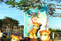 Cần Thơ sẽ bắn pháo hoa nghệ thuật đêm giao thừa tết Quý Mão 2023