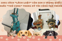 Bạn trẻ - Cuộc sống - Nuôi "thú cưng" trong ký túc xá kiểu sinh viên Trung Quốc: Không phạm luật, độ sáng tạo có 1-0-2!