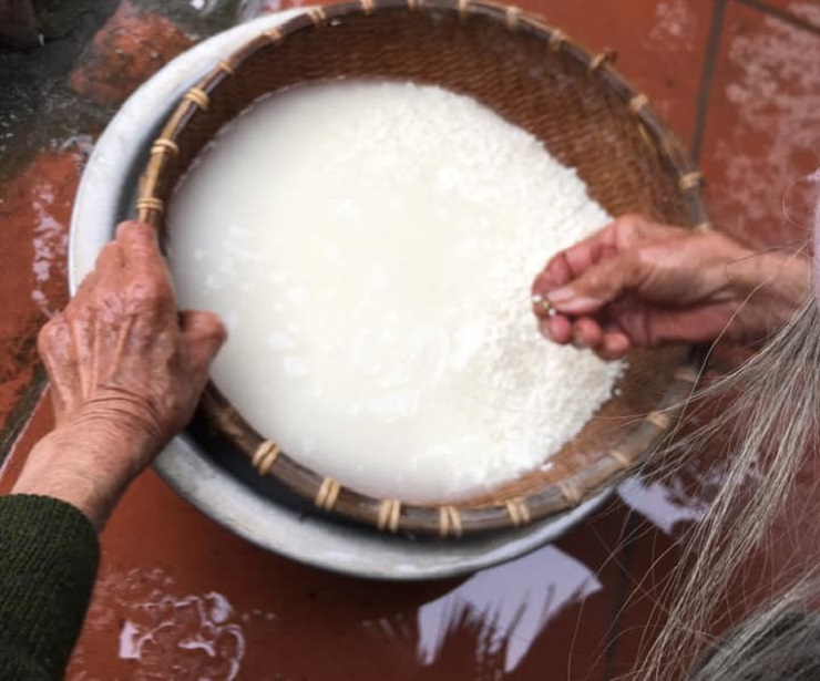Cụ Khuê cho biết, gạo nếp trước khi mang đồ xôi phải được đãi thật sạch. Cứ 2kg gạo nếp nấu thành xôi sẽ được trộn với 0,25kg bột mầm lúa đã giã nhỏ rồi mang đi ủ qua đêm. (Ảnh: Từ Quang Đức).
