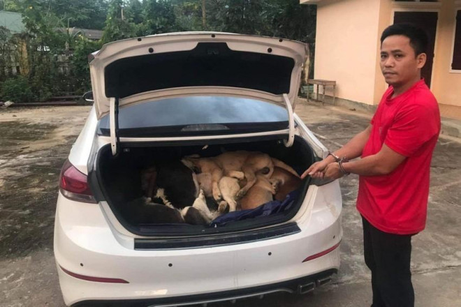 Ngô Bá Phát đi ô tô, trộm 38 con chó của người dân. Ảnh: FB