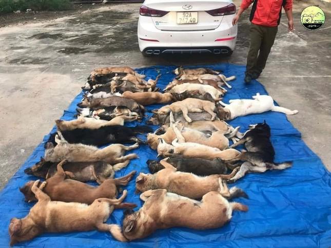 Nhóm đối tượng đi xe ô tô trộm 38 con chó của người dân. Ảnh FB