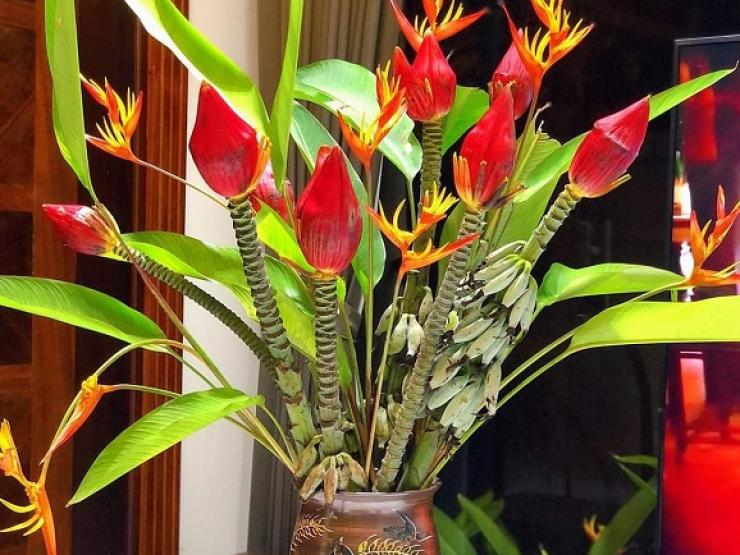 Thị trường - Tiêu dùng - Loại hoa rừng “chống đói” khi xưa, nay chị em Hà thành chi tiền triệu lùng mua về cắm