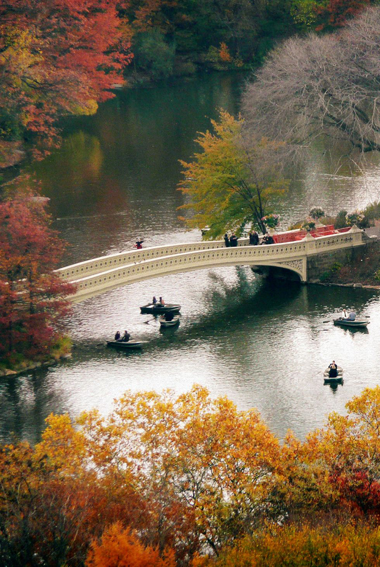 4. Bạn có thể rời thành phố để ngắm nhìn những tán lá mùa thu tuyệt đẹp hoặc có thể đi đến Công viên Trung tâm New York. Những hàng cây đổi màu lá gây ấn tượng mạnh đối lập với những tòa nhà chọc trời của thành phố.
