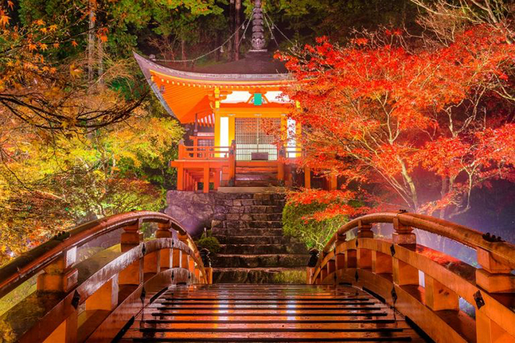 7. Tokyo, Nhật Bản càng trở nên huyền diệu hơn khi lá chuyển sang màu đỏ, phù hợp với những ngôi chùa cổ kính bên hàng cây lá đỏ.
