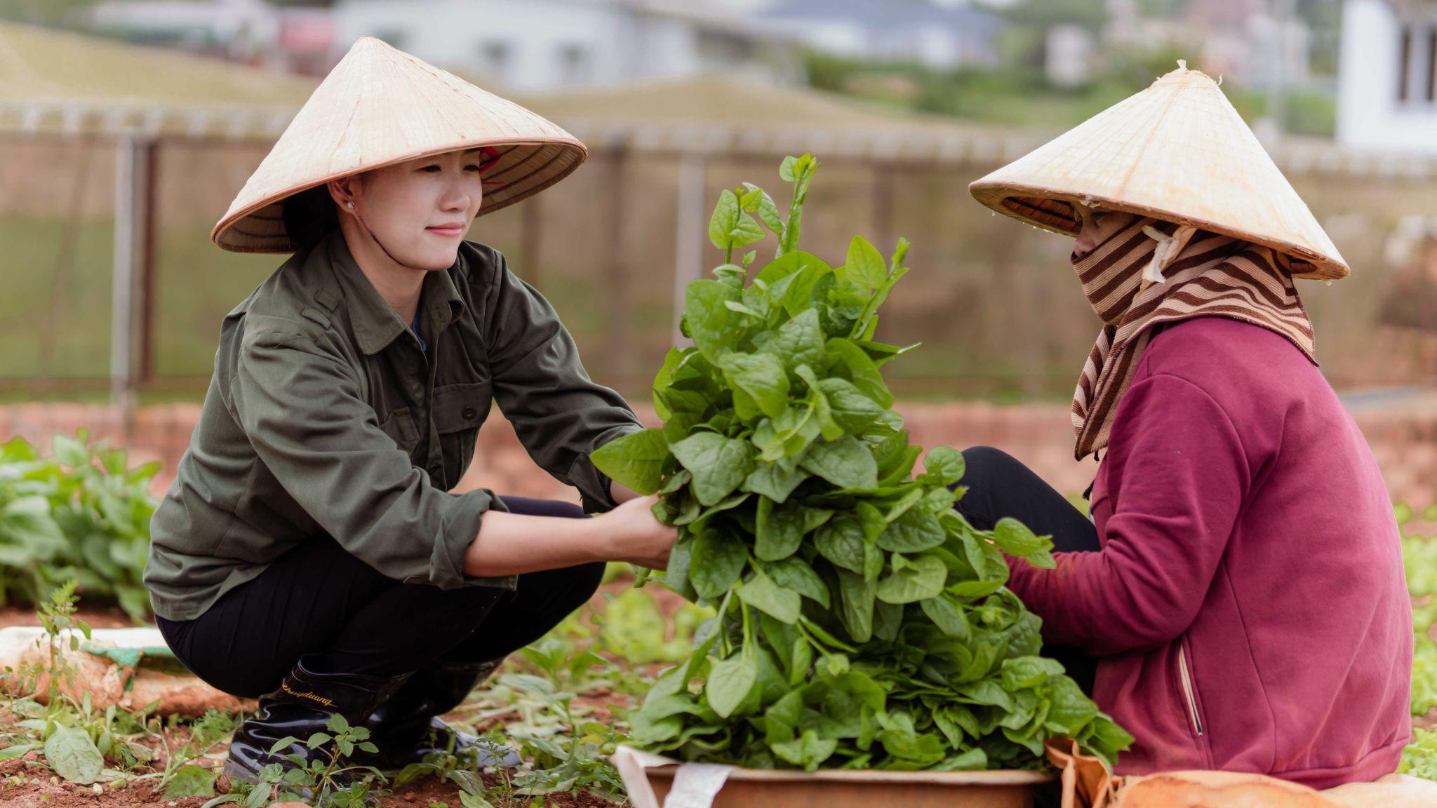 Thuận Thiên đã tạo ra công việc cho nhiều người