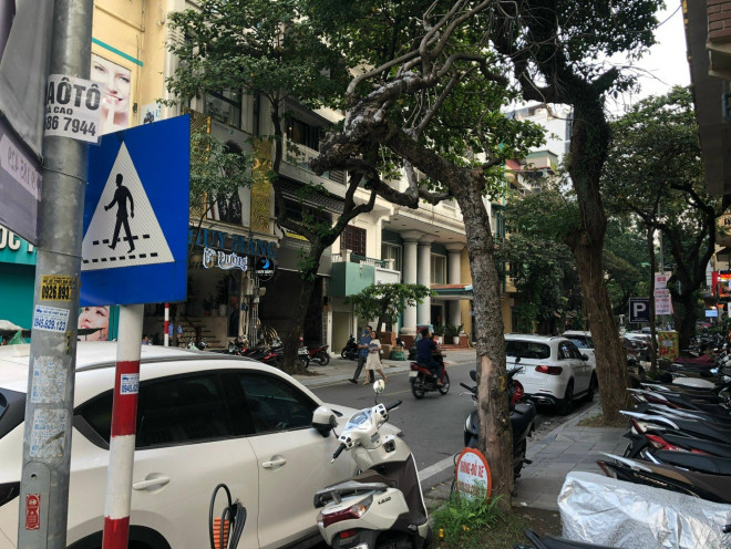 Loạt cây xanh chết trên đường phố Hà Nội nghi do đầu độc - 5