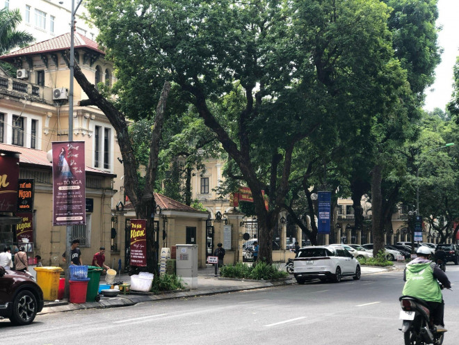 Loạt cây xanh chết trên đường phố Hà Nội nghi do đầu độc - 9