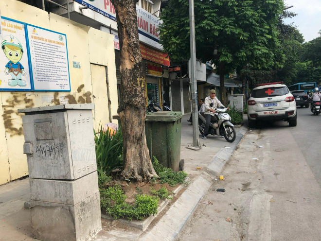 Loạt cây xanh chết trên đường phố Hà Nội nghi do đầu độc - 6