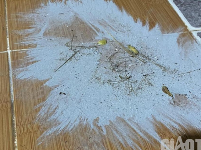 Tin tức trong ngày - Gửi mẫu giám định bụi lạ tấn công người dân ở KKT Dung Quất